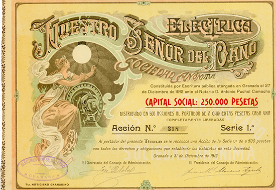 Electrica Nuestro Senor del Pano S.A.